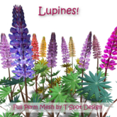 Flowers - Lupines (Lupinus polyphyllus) - Full Perm Mesh - LI=1-2