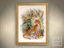 Leopard (Felis Pardus) | Vintage Zoological Illustration | Light Wood Frame