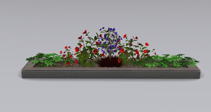 Planter with frog sitting between Hibiscus