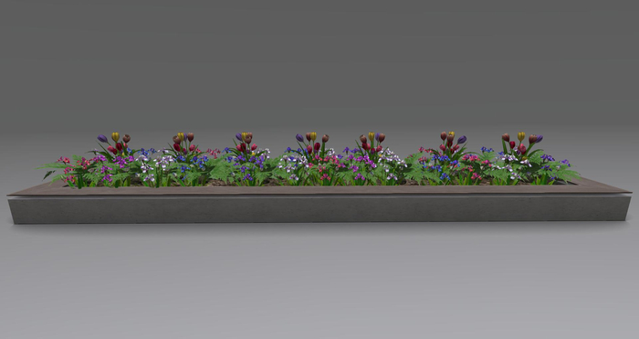 Planter with iris and tulips.