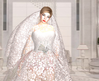 Adl Alta Moda The Bride Lace Crinoline