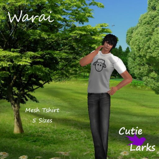 ~CL~ Warai Mens Sheep Shirt BOXED