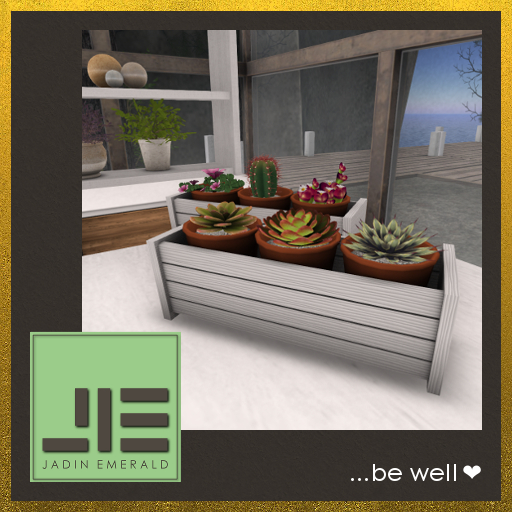 Jayli Succulents, Potted in Two Groups of 3, in Small White Crates (Set) - Mesh - Copy/Mod (Wear to Unpack)
