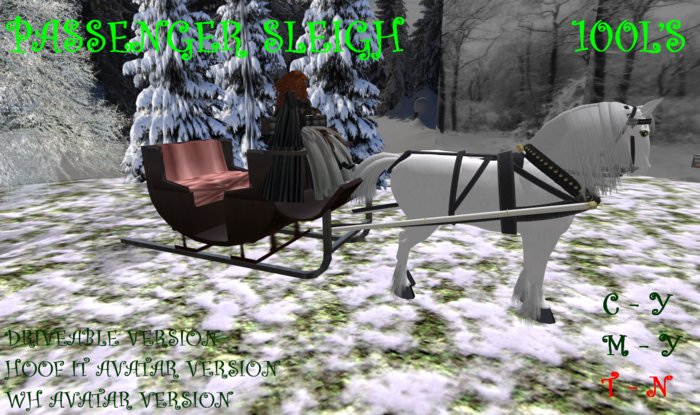 Passenger Sleigh Ride