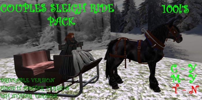 Couples Sleigh Ride