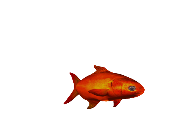 HHSB- Huggable Orange Feesh