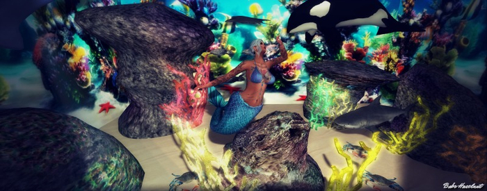 Rawr Underwater Photo backdrop/box