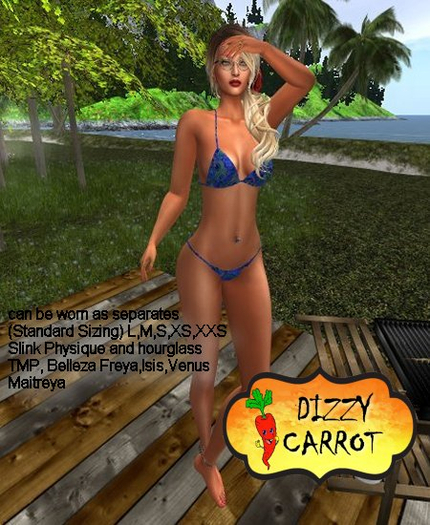 DC Blue Paisley Splash Bikini