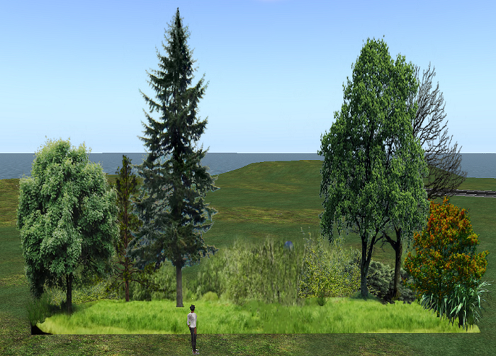 Green leafed trees privacy fence FULL PERMS