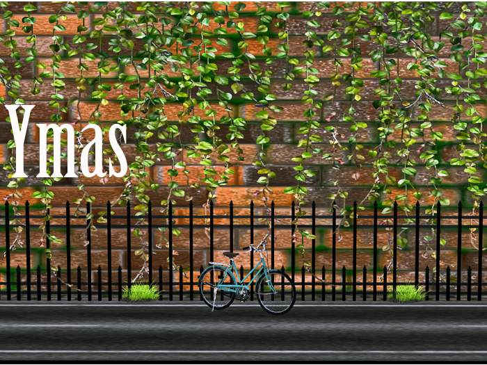 {Ymas Poses} BACKDROP WALL