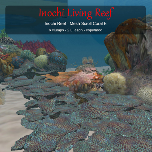 Inochi Reef : Scroll Coral E