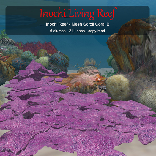 Inochi Reef : Scroll Coral B