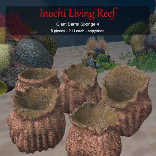 Inochi Reef : Giant Barrel Sponge 4
