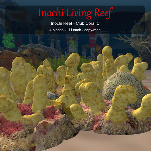 Inochi Reef : Club Coral C