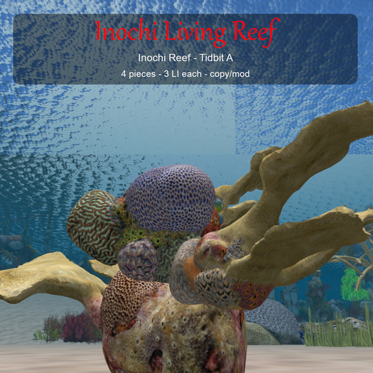 Inochi Reef - Tidbit A