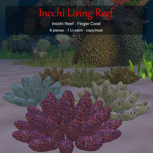 Inochi Reef - Finger Coral