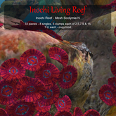 Inochi Reef - Mesh Scolymia N