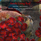 Inochi Reef - Mesh Scolymia L