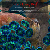 Inochi Reef - Mesh Scolymia G
