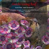 Inochi Reef - Mesh Scolymia F