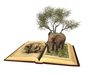 Xantes%20book 8.