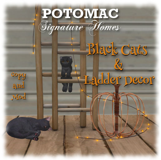 Black Cats & Ladder Decor (boxed)