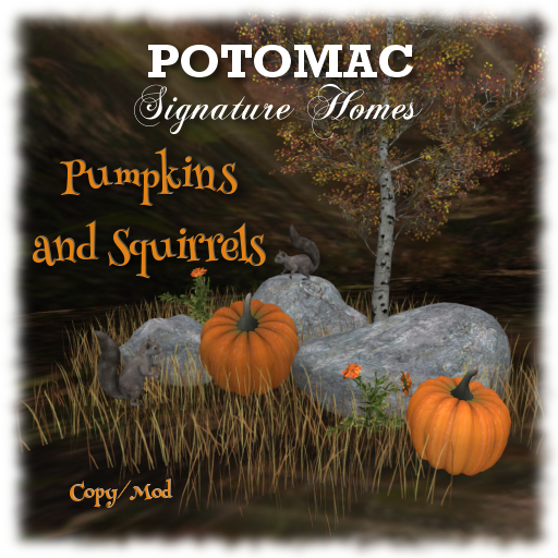 Potomac - Pumpkins and Squirrels (boxed)