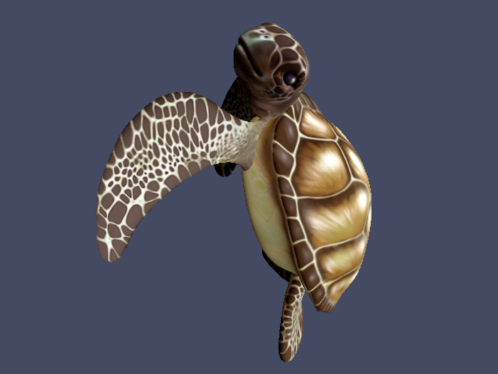 OSMIA - Aloha.Gacha.Turtle - On the Leg (WEAR ME) - Beige
