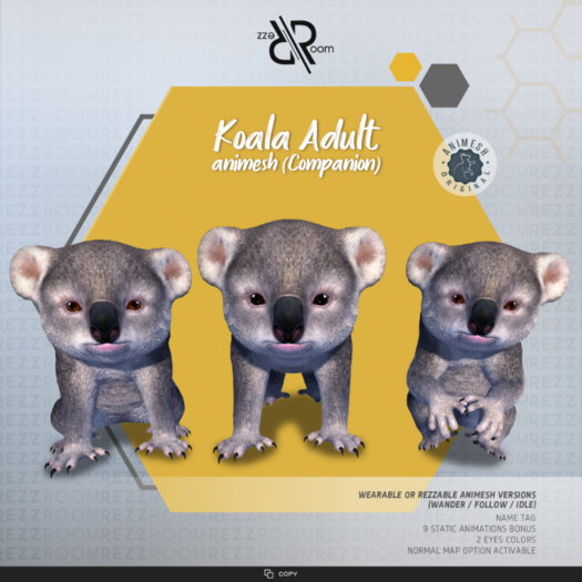 [Rezz Room] Box Koala Adult Animesh (Companion)