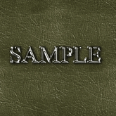 Zoy Texture [ Leather Wrinkle Shiny ] Seamless - Green