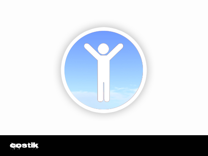 Costik - FLIGHT HUD