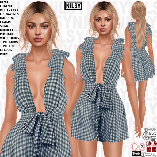 COTTON VICHY DRESS,ALL BODIES