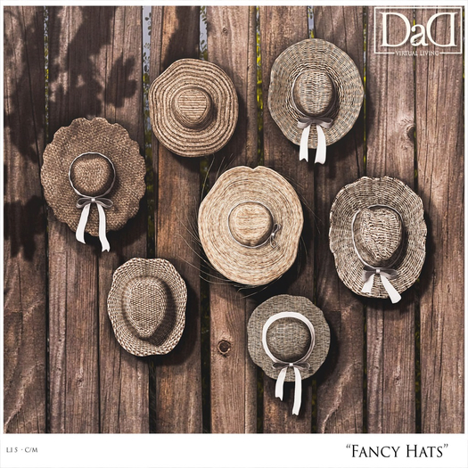 Fancy Hats