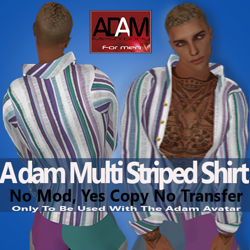 Adam Multi Striped Shirt  vendor