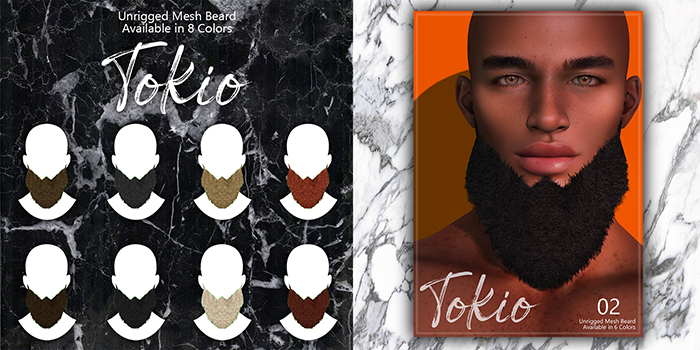 TOKIO - Beard 02 X20 HD FATPACK