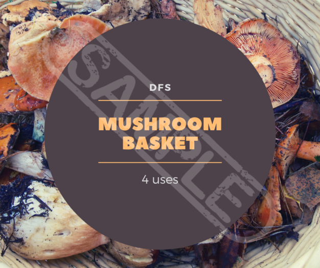TEXTUREDFS_MUSHROOMBASKET