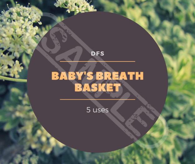 TEXTUREDFS_BABYSBREATH