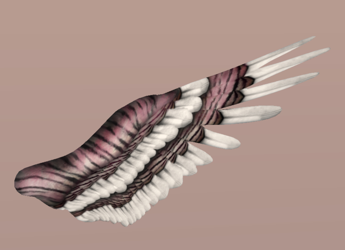 Valkyrie Designed - Tiger Pink - Centaur Wing Applier Box