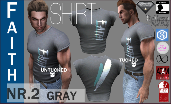 EMS- FAITH 2 SHIRT -GRAY