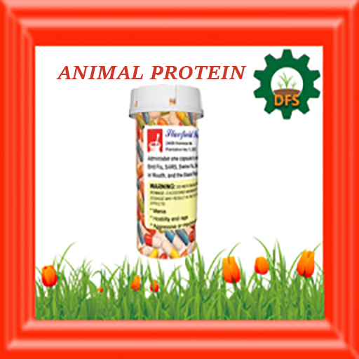 DFS Animal Protein x 10