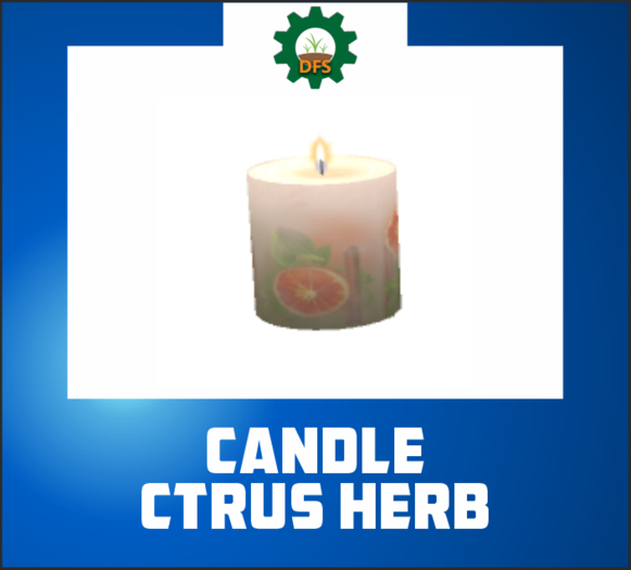 DFS CANDLE CITRUS HERB (texture)