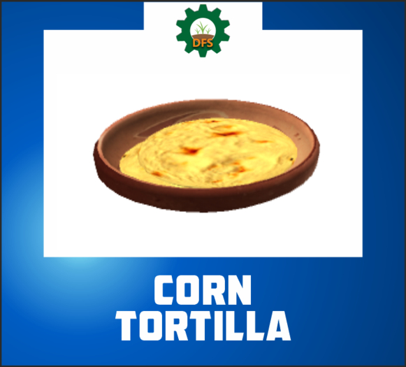 DFS CORN TORTILLA (texture)