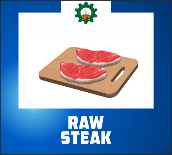 DFS RAW STEAK (texture)