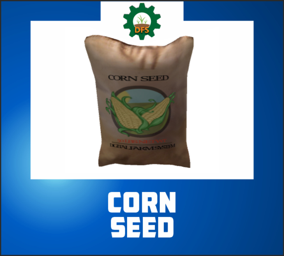DFS  CORN SEED (texture)
