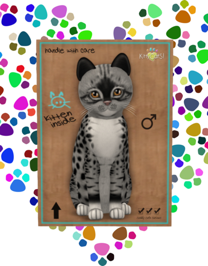 KittyCatS Box - Male Genesis - Bandit II - Mysterious Tail