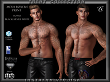 TS-Mens-Trent-Boxers-Just4Fun#10-USA