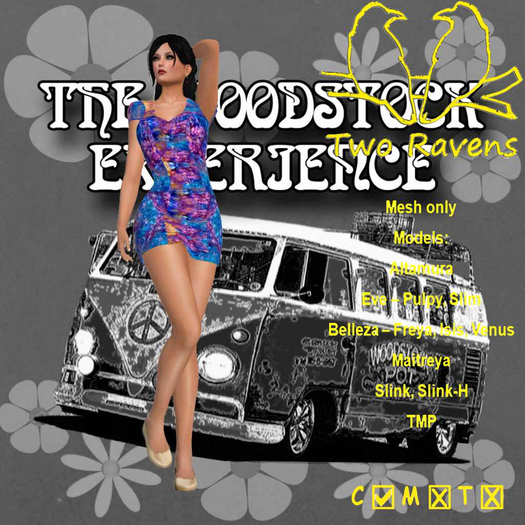 Woodstock Dress_WS2
