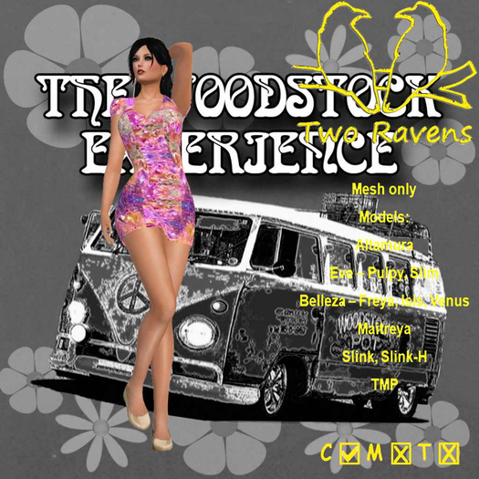 Woodstock Dress_WS3