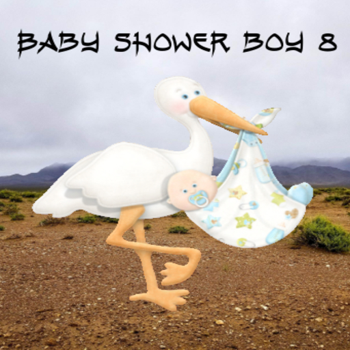 Baby Shower boy 8