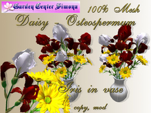 BOX_Daisy - Osteospermum and iris in white vase_001_34z
